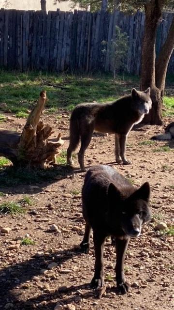 Les Gites Du Parc Animalier De Ginasservis Exterior foto